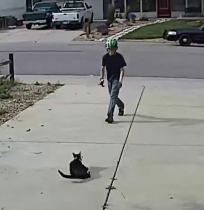 Boy approaches disabled cat – doesn’t realize the camera is recording his actions