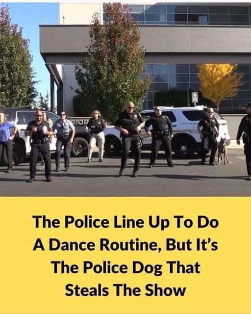 The Police Line Up To Do A Dance Routine, But It’s The Police Dog That Steals The Show