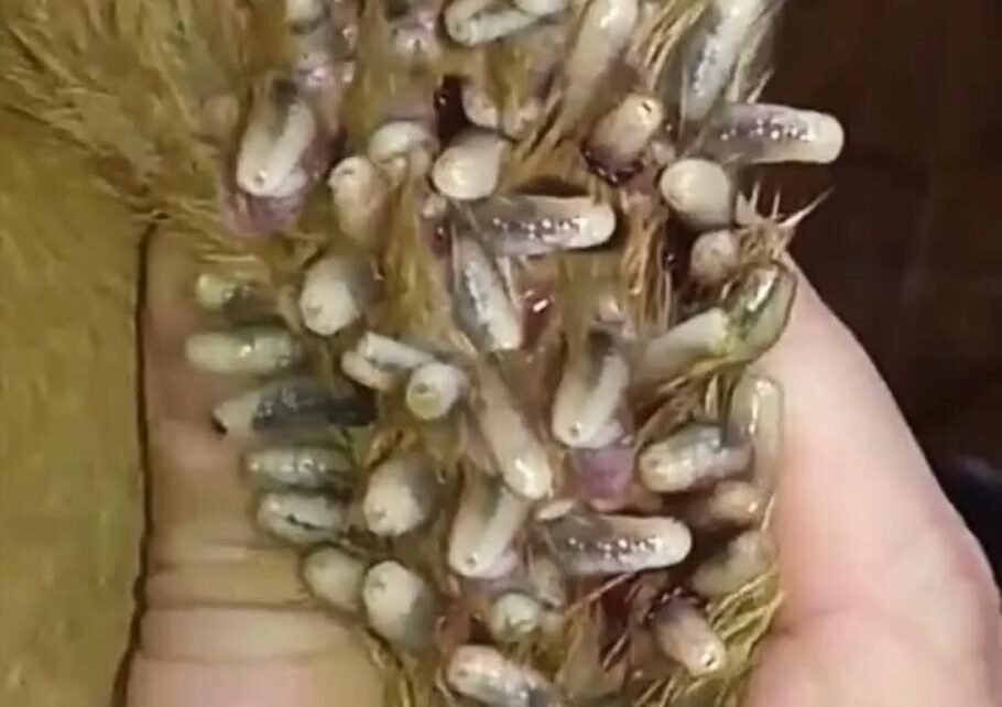 7 Simple Ways To Recognize Possible Body Issues