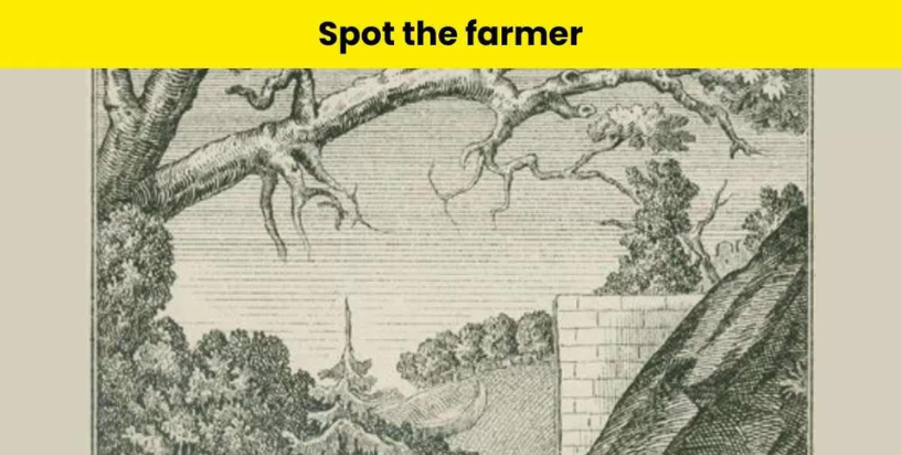 “Optical Illusion Challenge”: Spot the farmer in 6 seconds!