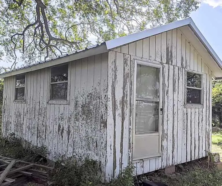 Family of 4 now living rent-free spent $16K turning old shed into a tiny home—see how they did it!