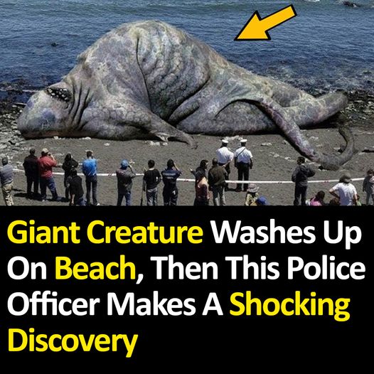Giant Creature Washes Up On Beach, Then This Police Officer Makes A Shocking Discovery