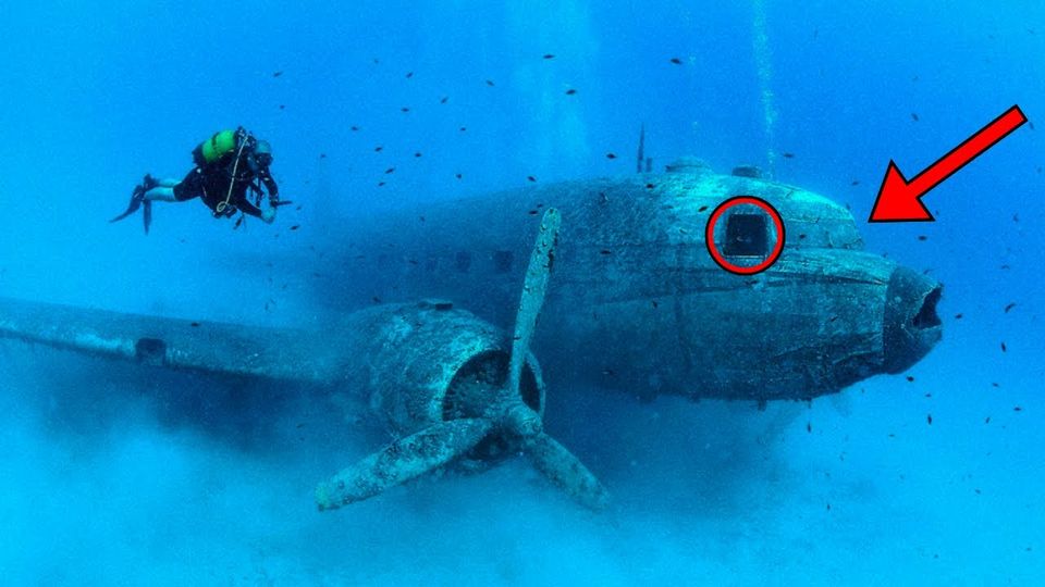 Divers Spot Sunken Plane On Ocean Floor – They Turn Pale After Swimming Inside