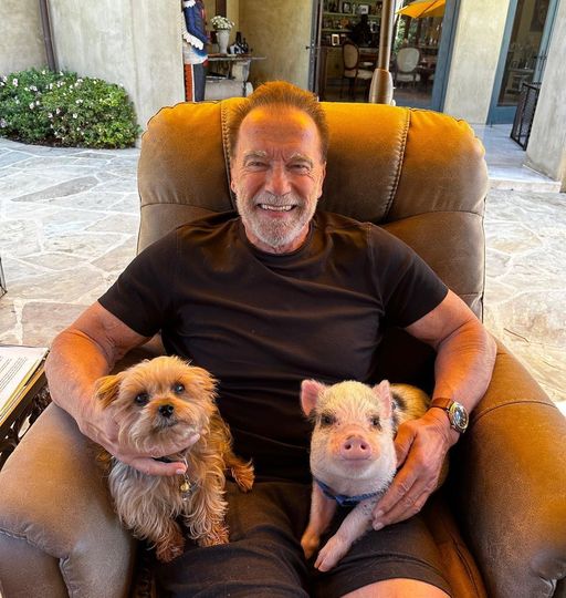 Arnold Schwarzenegger shares sweet video of workout with his pet pig Schnelly
