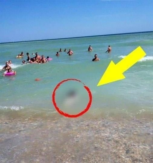 Tourists couldn’t believe their eyes!