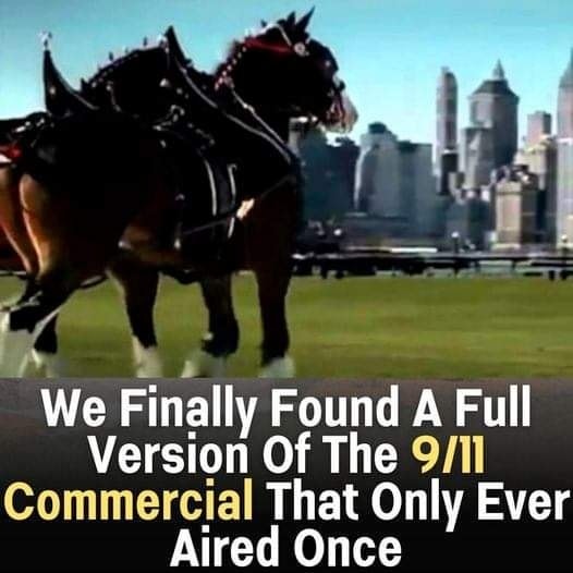 This touching 9/11 Budweiser commercial paying tribute to our nation only aired once