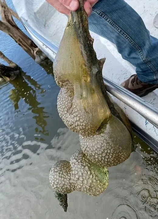 Discovering the Mysteries of Oklahoma’s Lake