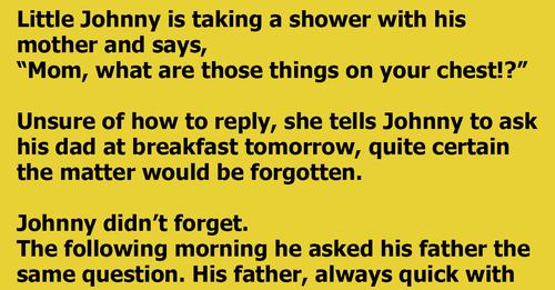 Little Johnny Asks His Mother About Her Chest.