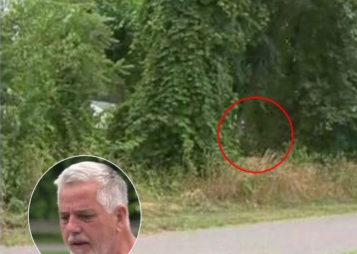 Man Hears Crying Coming From Bushes – Takes A Closer Look And Gets Petrified