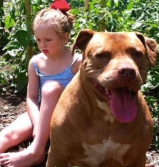 A 4-year-old girl disappeared from the yard of her house one morning
