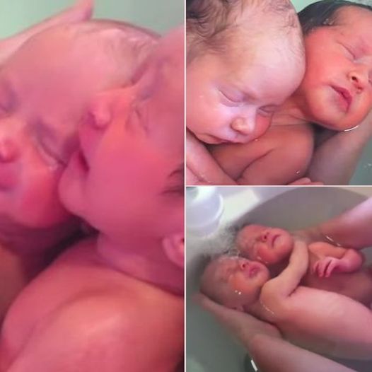 The newborn twins keep cuddling with each other, just like they did when they were inside their mother’s belly.