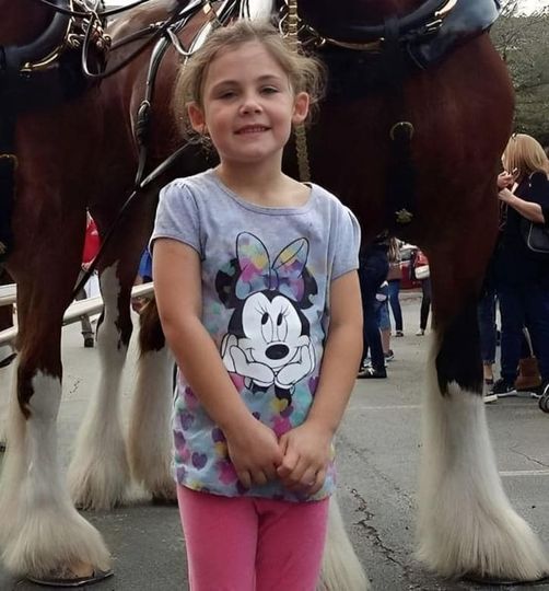 Dad takes daughter’s photo in front of giant horse, looks closer and can’t stop laughing