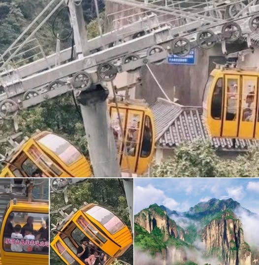 Cable car door opens, 34-year-old female tourist f.all.s out