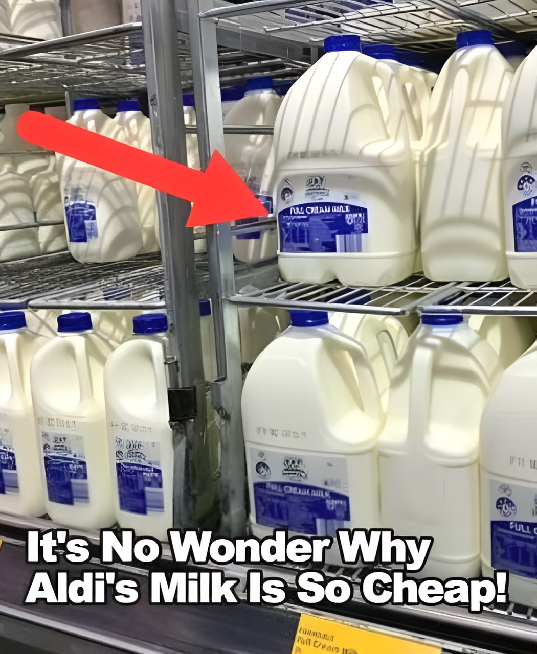 Every Good (And Bad) Deal At Aldi